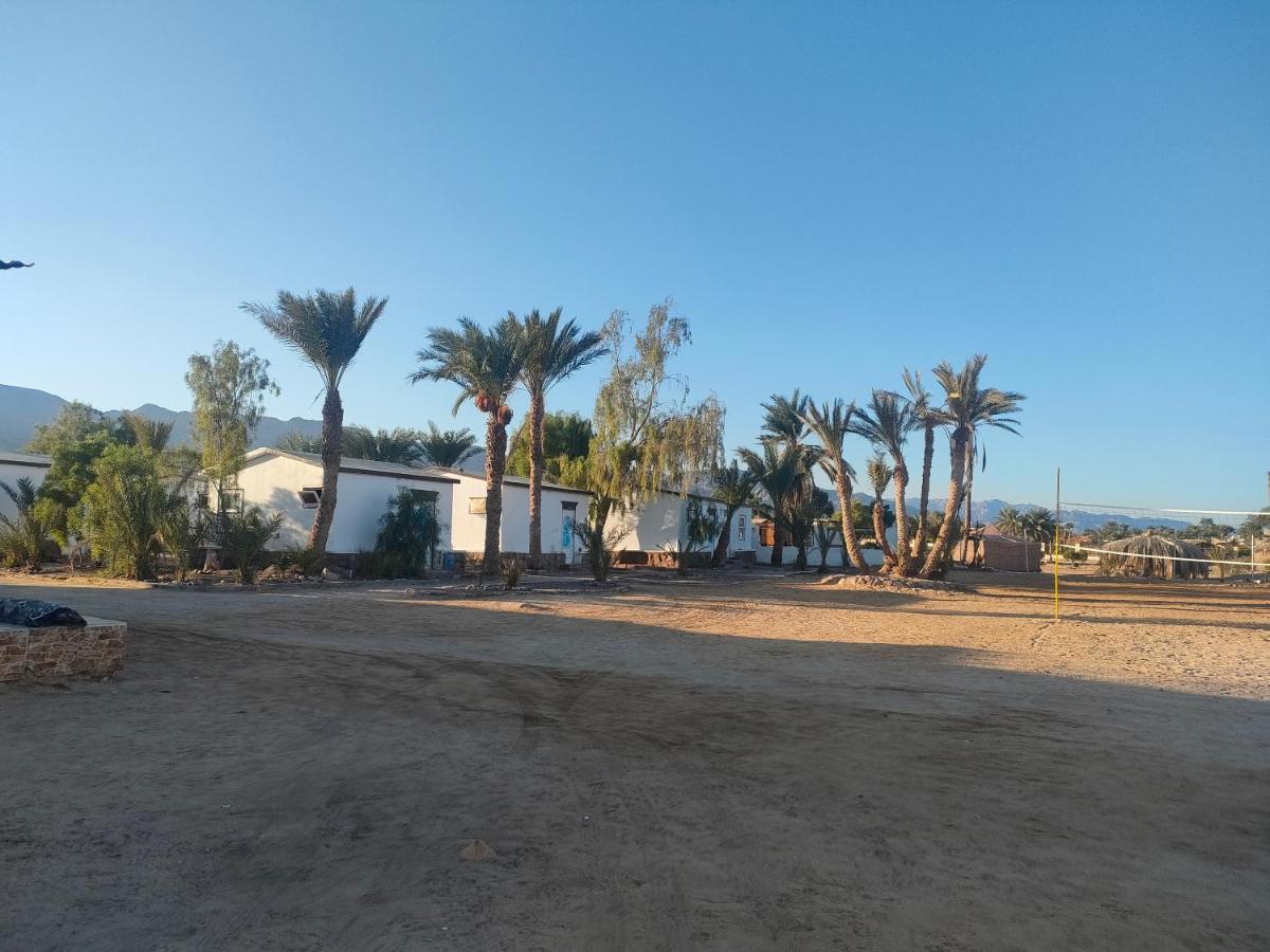 Nuweiba Oasis Hotel Ngoại thất bức ảnh