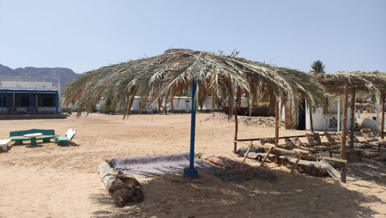 Nuweiba Oasis Hotel Ngoại thất bức ảnh