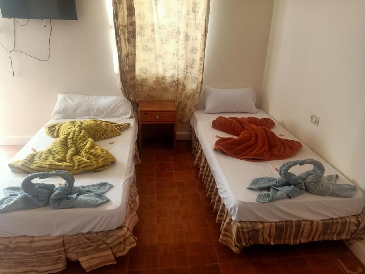 Nuweiba Oasis Hotel Phòng bức ảnh